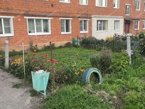 1-komnatnaya-poselok-nizhegorodec-dalnekonstantinovskiy-rayon фото