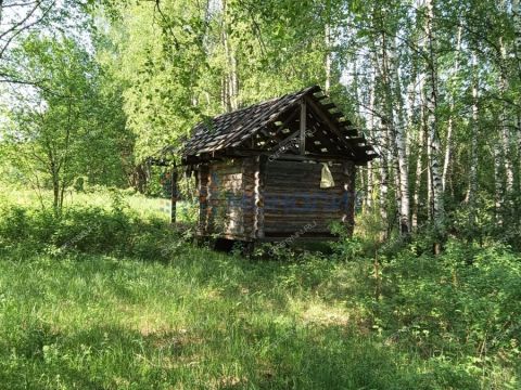derevnya-ryabinki-gorodskoy-okrug-bor фото