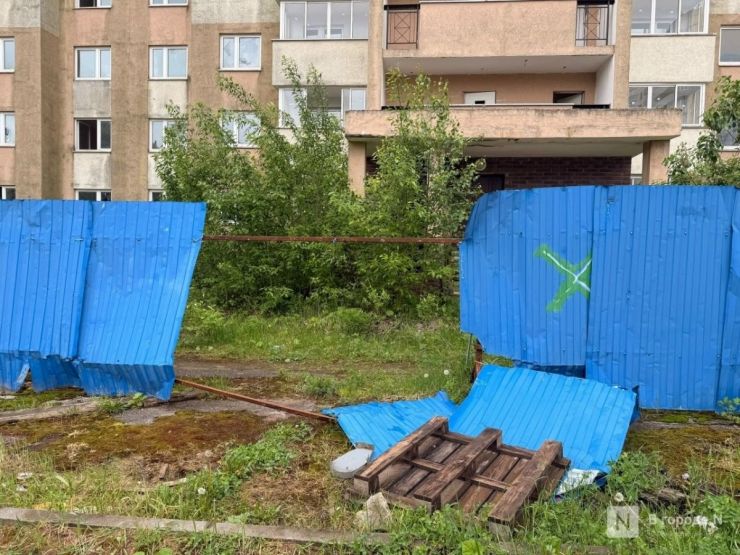 Фото: ИА «В городе N»