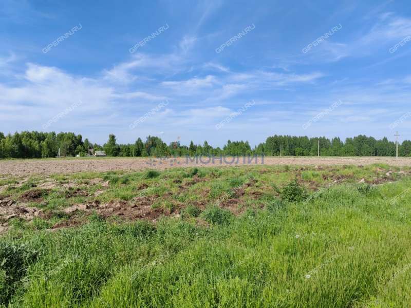 земельный участок 950 соток - деревня Трифакино