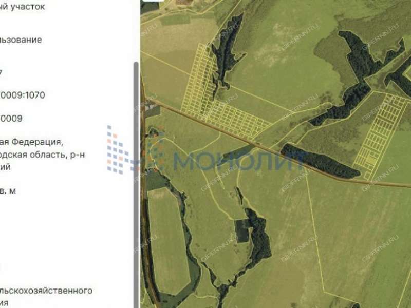 земельный участок под сельхоз назначение в Дивеевском районе Нижегородской области