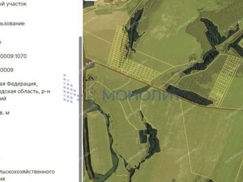 selo-diveevo-diveevskiy-municipalnyy-okrug фото