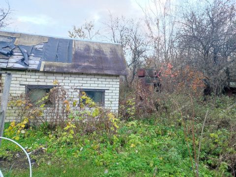 dacha-gorod-kstovo-kstovskiy-rayon фото