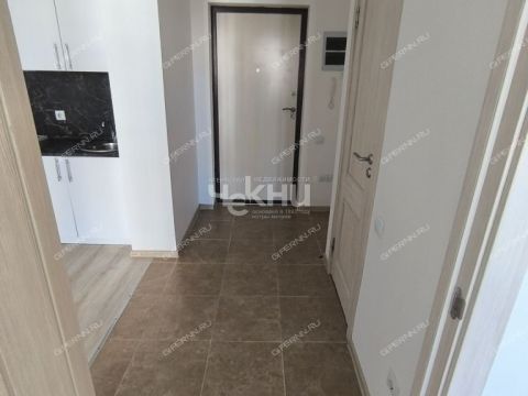 1-komnatnaya-derevnya-ankudinovka-kstovskiy-rayon фото