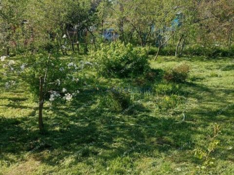 dacha-derevnya-kremenki-dalnekonstantinovskiy-rayon фото