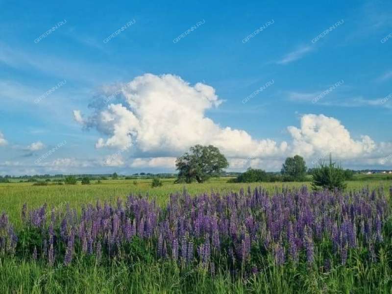 однокомнатная квартира на  дом 4 посёлок Дружный