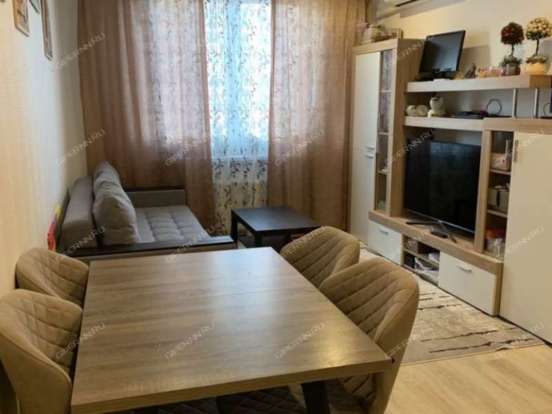 двухкомнатная квартира на Русской улице улице дом 9 деревня Анкудиновка