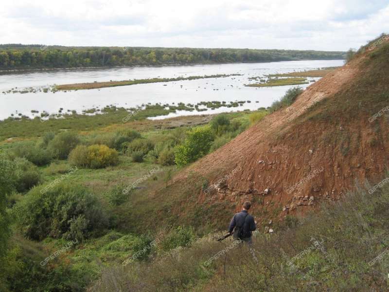 земельный участок под коммерческое использование в Павловском районе Нижегородской области