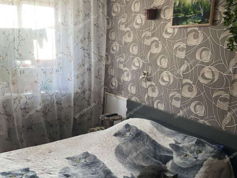 трёхкомнатная квартира в Центральном микрорайоне дом 4 город Выкса