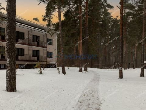 rabochiy-poselok-bolshoe-kozino-balahninskiy-municipalnyy-okrug фото