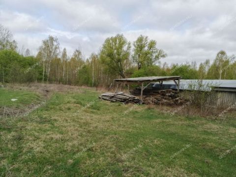 derevnya-ilinskoe-gorodskoy-okrug-bor фото