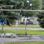 Фото: Надя Кей / vgoroden.ru