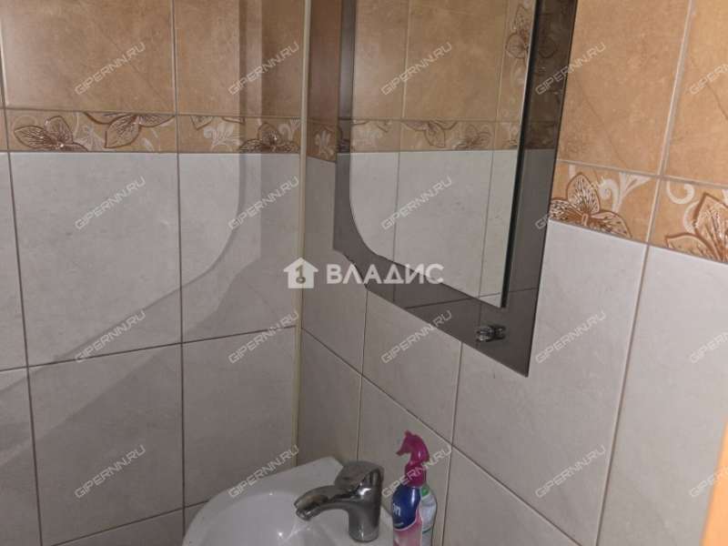 дом на Берёзовой улице село Великий Враг