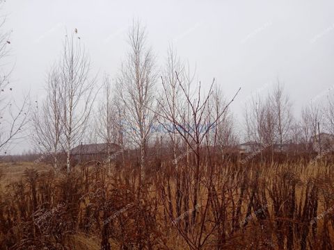 gorod-bogorodsk-bogorodskiy-municipalnyy-okrug фото