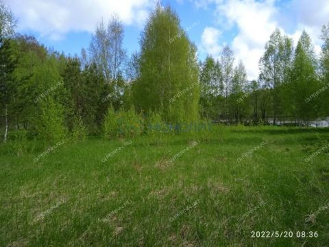 dom-derevnya-nikitkino-gorodskoy-okrug-chkalovsk фото