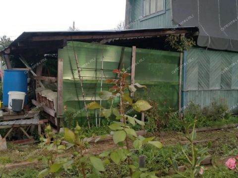 dacha-nst-stroygaz фото