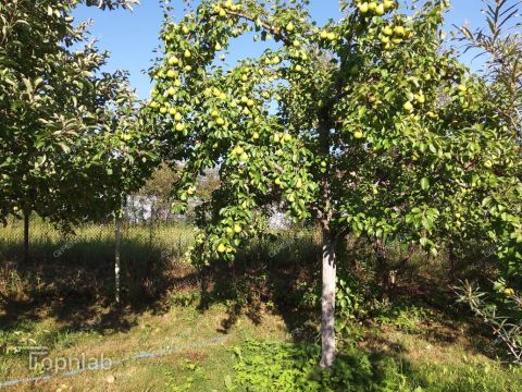 dom-derevnya-frolovskoe-kstovskiy-rayon фото