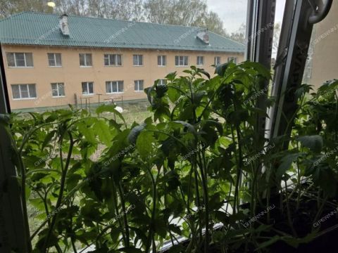 2-komnatnaya-selo-slobodskoe-kstovskiy-rayon фото