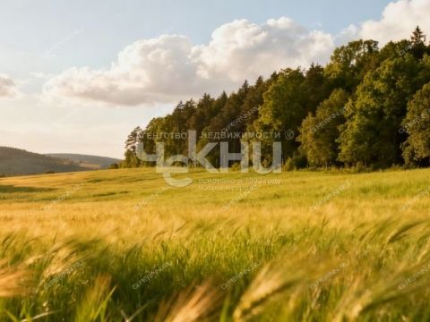 dom-selo-saurovo-lyskovskiy-municipalnyy-okrug фото