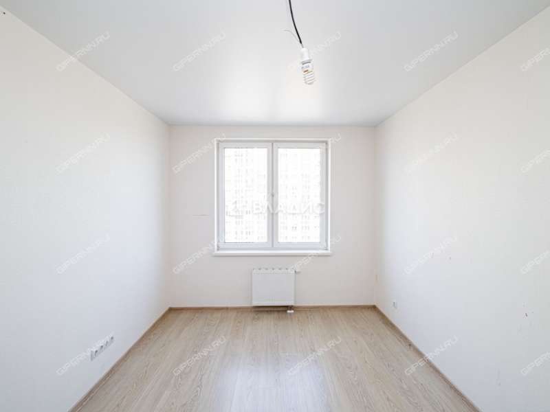 трёхкомнатная квартира на Русской улице улице дом 9 деревня Анкудиновка