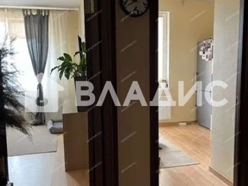 однокомнатная квартира на Русской улице улице дом 5 деревня Анкудиновка
