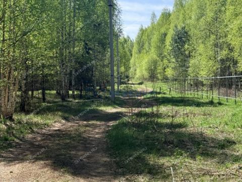 derevnya-dmitrievskoe-sokolskiy-gorodskoy-okrug фото