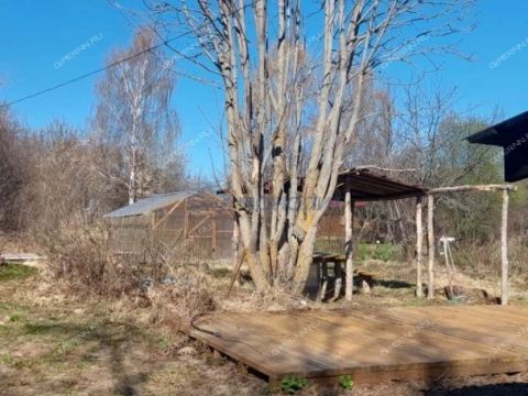 dacha-derevnya-prudy-pavlovskiy-municipalnyy-okrug фото