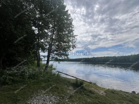 dom-derevnya-putkovo-gorodskoy-okrug-bor фото