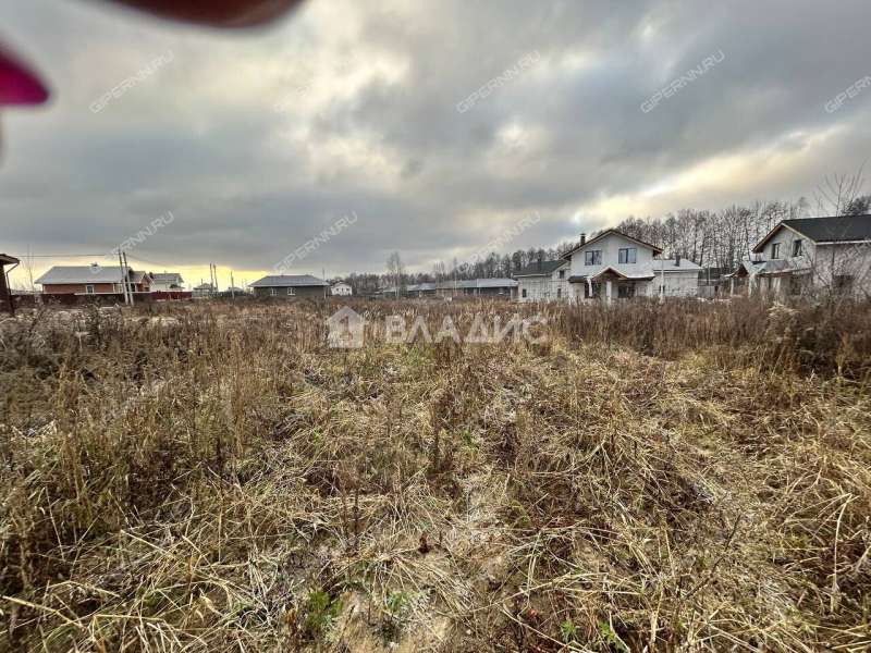 дом на улице Луговая деревня Ройка