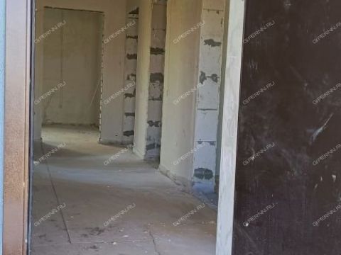 dom-derevnya-burcevo-bogorodskiy-municipalnyy-okrug фото