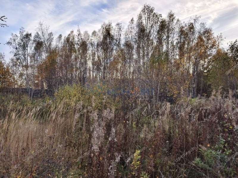 земельный участок 45 соток Солнечная улица село Новые Ключищи