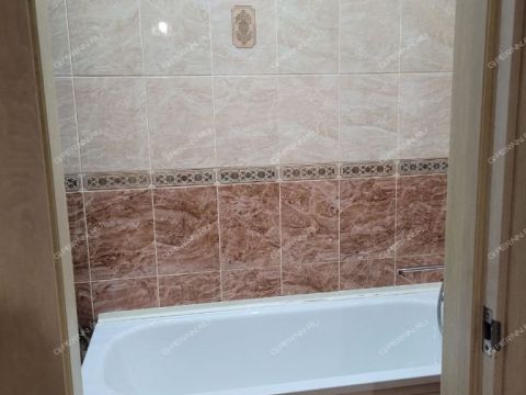 2-komnatnaya-selo-hmelevicy-gorodskoy-okrug-shahunya фото