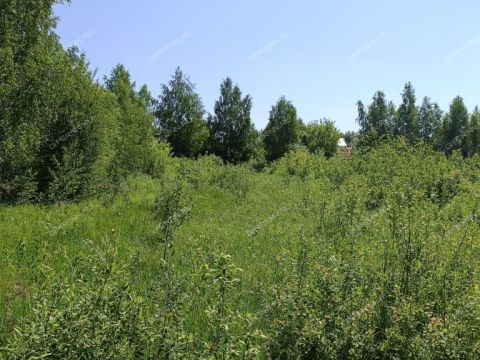 derevnya-ovechkino-gorodskoy-okrug-bor фото