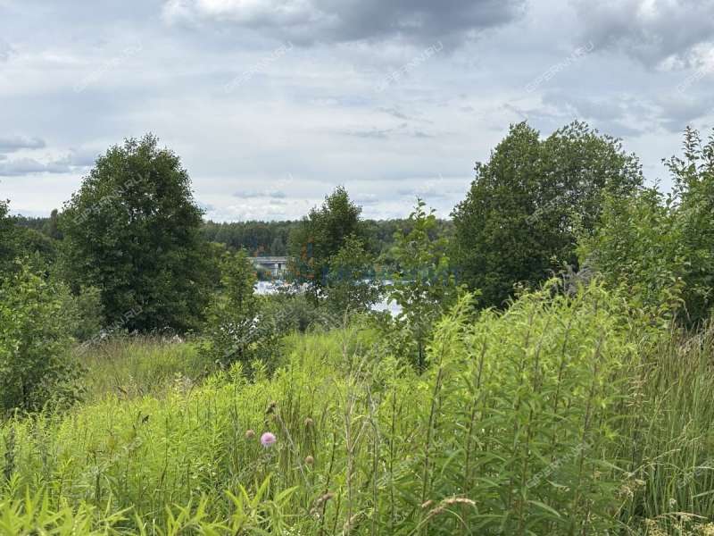 земельный участок 8 соток Рябинино сад