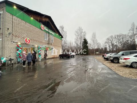 rabochiy-poselok-syava-gorodskoy-okrug-shahunya фото