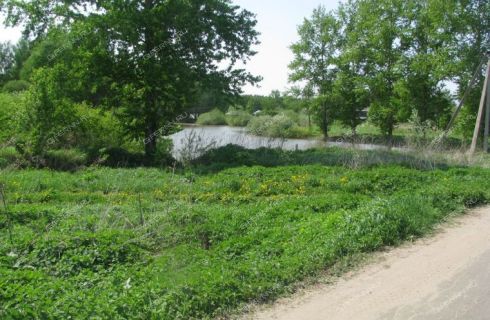 Заозерье богородский район фото