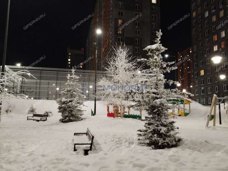 двухкомнатная квартира на Русской улице улице дом 9 деревня Анкудиновка