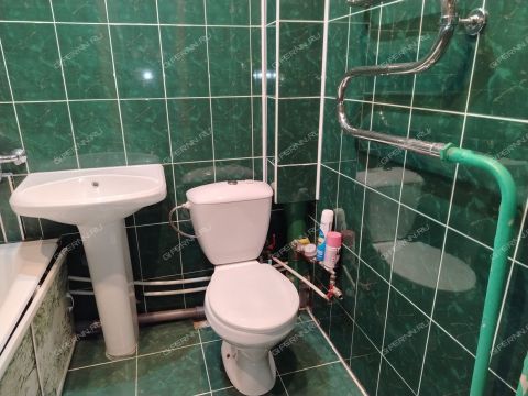 1-komnatnaya-derevnya-novolikeevo-kstovskiy-rayon фото