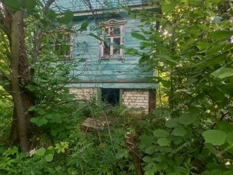 dacha-snt-druzhba-snt-druzhba фото