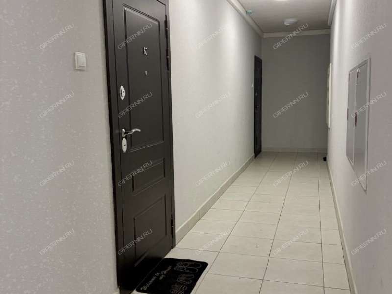 двухкомнатная квартира на улице Русская дом 7 Анкудиновка