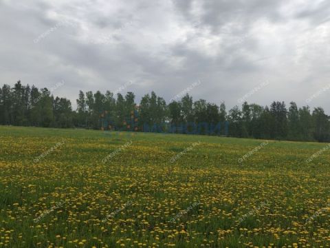 kp-romashkovo-dalnekonstantinovskiy-rayon фото