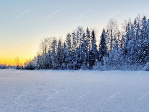 derevnya-shargoli-bogorodskiy-municipalnyy-okrug фото