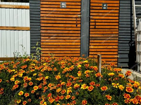 dacha-derevnya-zimenki-kstovskiy-rayon фото