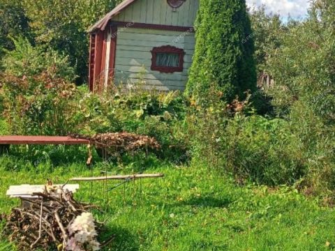 dom-selo-venec-sosnovskiy-rayon фото