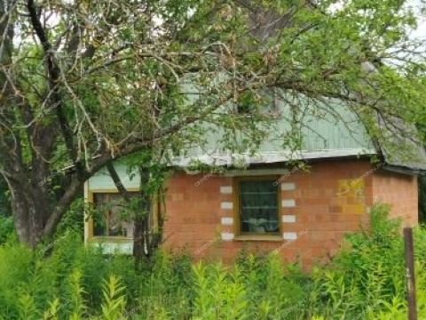 dacha-teplaya-gora-sad фото
