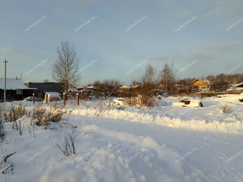 selo-rozhok-sosnovskiy-rayon фото