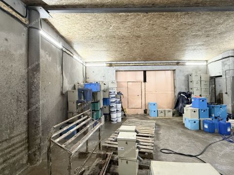 ul-11-ya-dubravnaya фото