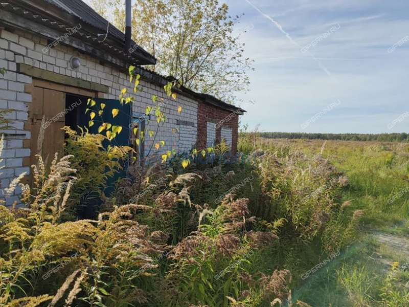 здание под недвижимость под гостиничный бизнес, недвижимость под общепит в деревне Апалихино деревня Апалихино