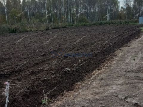 derevnya-berezovka-bogorodskiy-municipalnyy-okrug фото