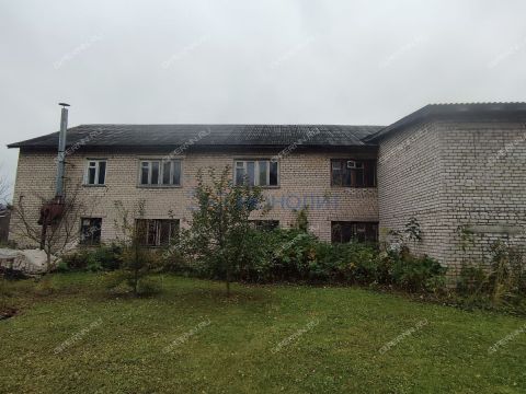 selo-smolki-gorodeckiy-rayon фото